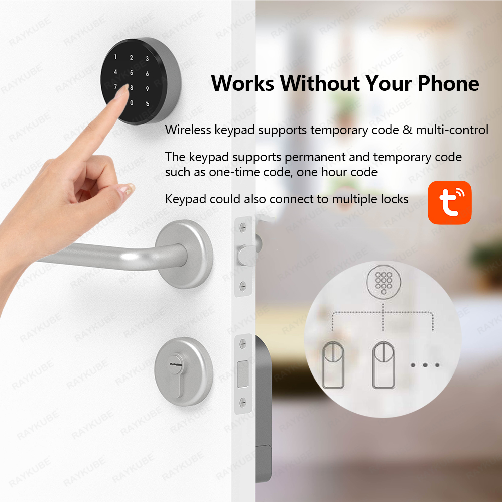 RAYKUBE A1 Pro Tuya BEL Компле – обзор и цена Home Security Keypad