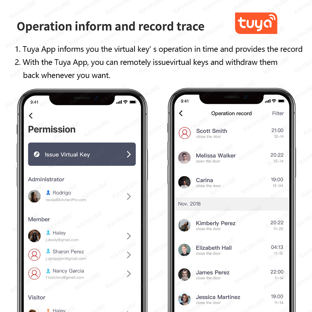 RAYKUBE A1 Pro Tuya BEL Компле – обзор и цена Home Security Keypad