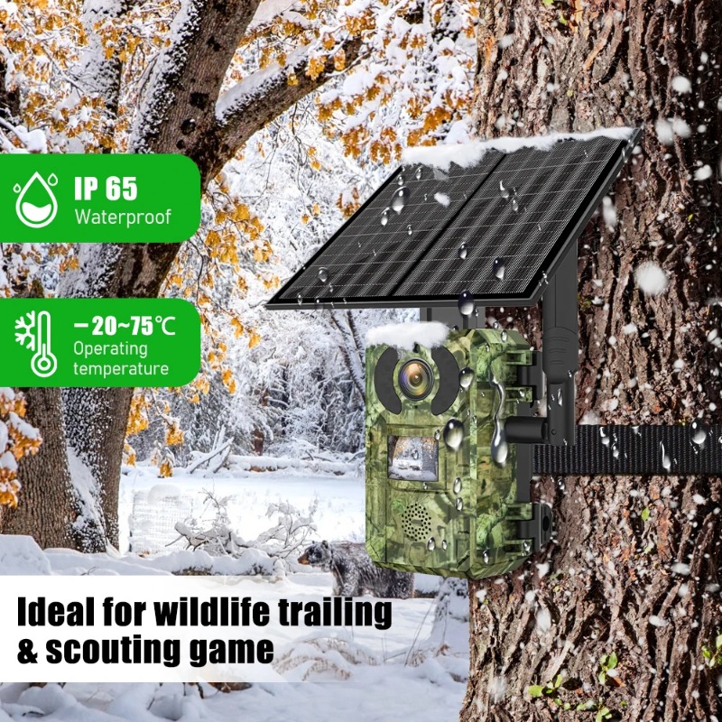Камера для охоты и наблюдения  – обзор и цена Home Security Game