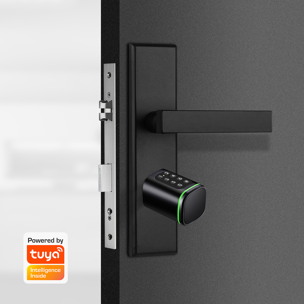 Умный цилиндрический замок Tuy – обзор и цена Home Security Keypad