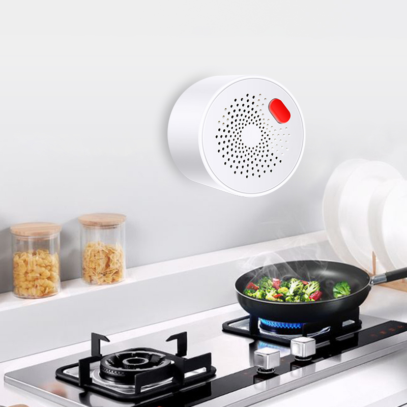 Датчик природного газа Tuya Sm – обзор и цена Home Security With Ai