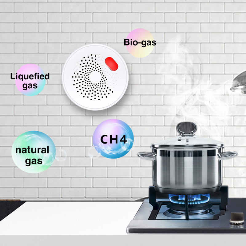 Датчик природного газа Tuya Sm – обзор и цена Home Security With Ai